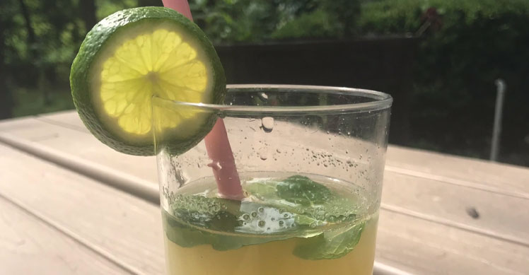 The Lemonade Recipe by Hanah