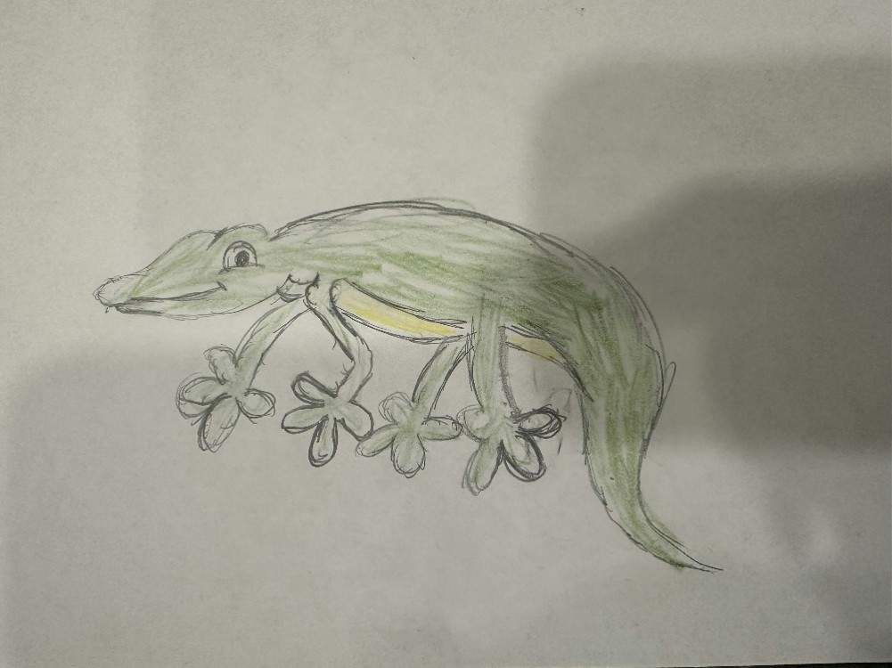 A drawing of a lizard by a child, Judah.