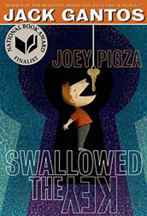 Swallowed the key book cover