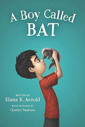 A Boy Called BAT book cover