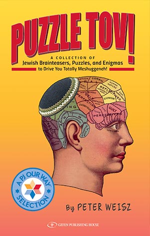 Puzzle tov book cover